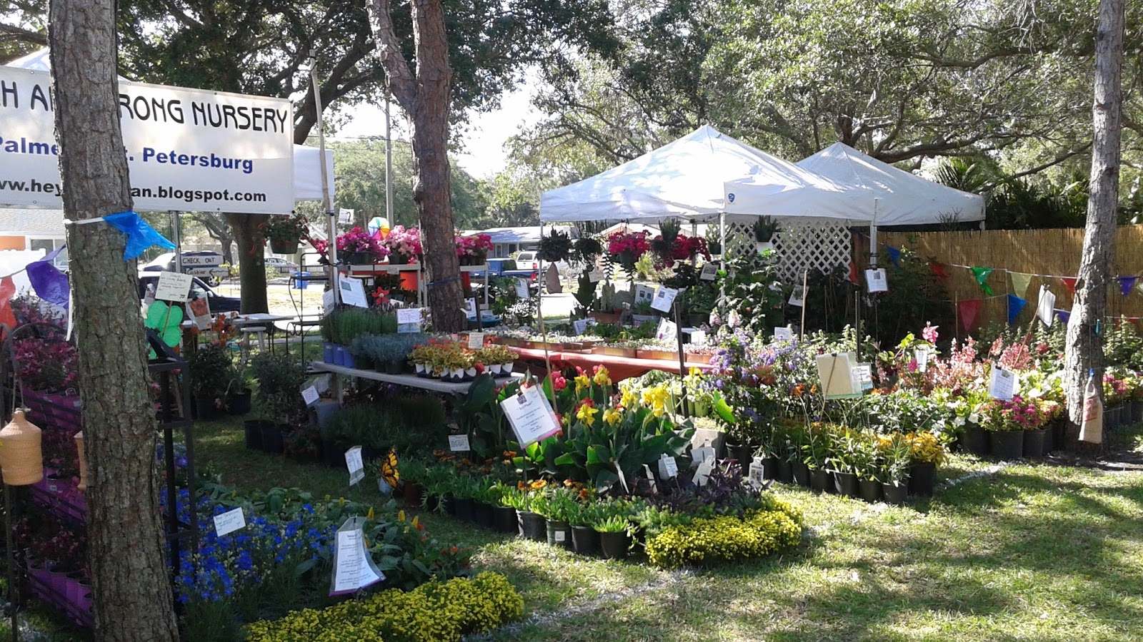 HeyPlantMan! Exotic Tropical Plants from St. Pete FL Green Thumb Fest