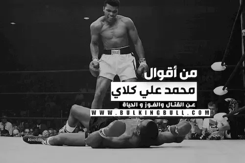 19 من أقوال محمد علي كلاي عن القتال والفوز و الحياة Mohammed Ali