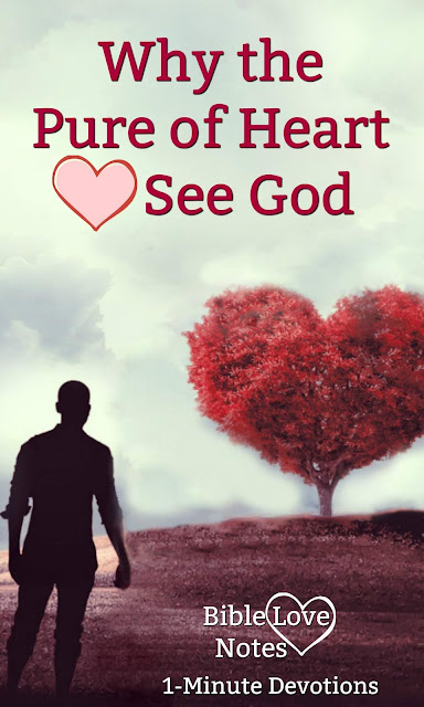 Matthew 5 says the pure in heart will see God. This 1-minute devotion explains what that means. #BibleLoveNotes #Bible