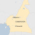 Children among 22 killed in attack on Cameroon village
