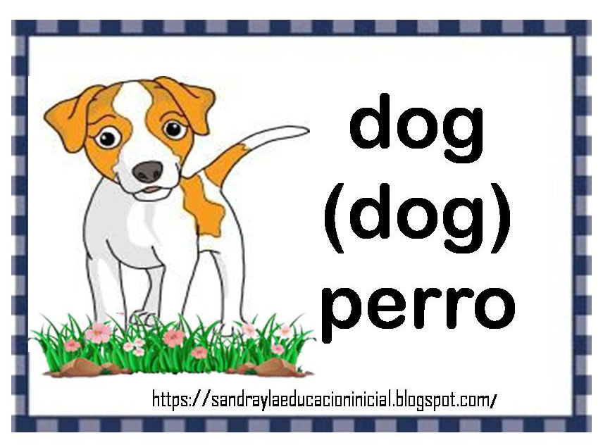 16 LÁMINAS DE ANIMALES PARA APRENDER EN INGLÉS