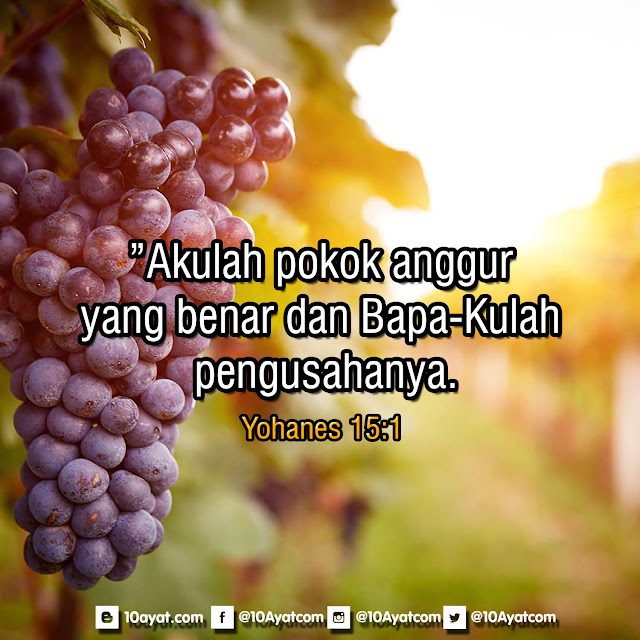 Yohanes 15 1