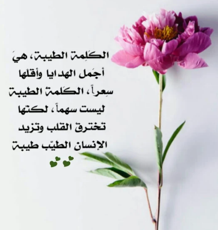 صور وكلمات معبرة صور جديدة ومعبرة صور مكتوب عليها