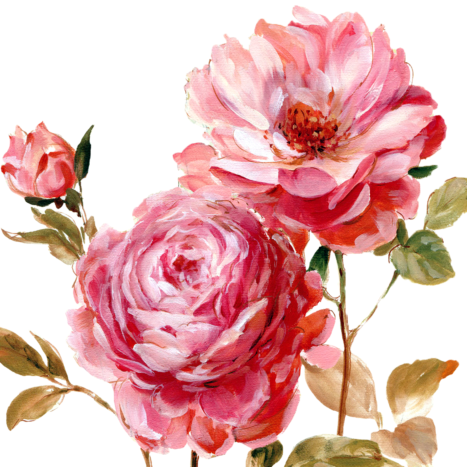 Flower Painting_By Lisa Audit_PNG_(69 item) | Joy Design ...