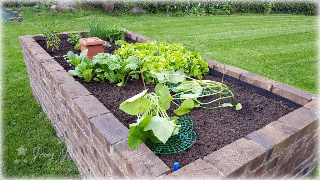 Habe Ameisen Im Hochbeet 28 Images Arifs Gartenwelt Raupen Auf