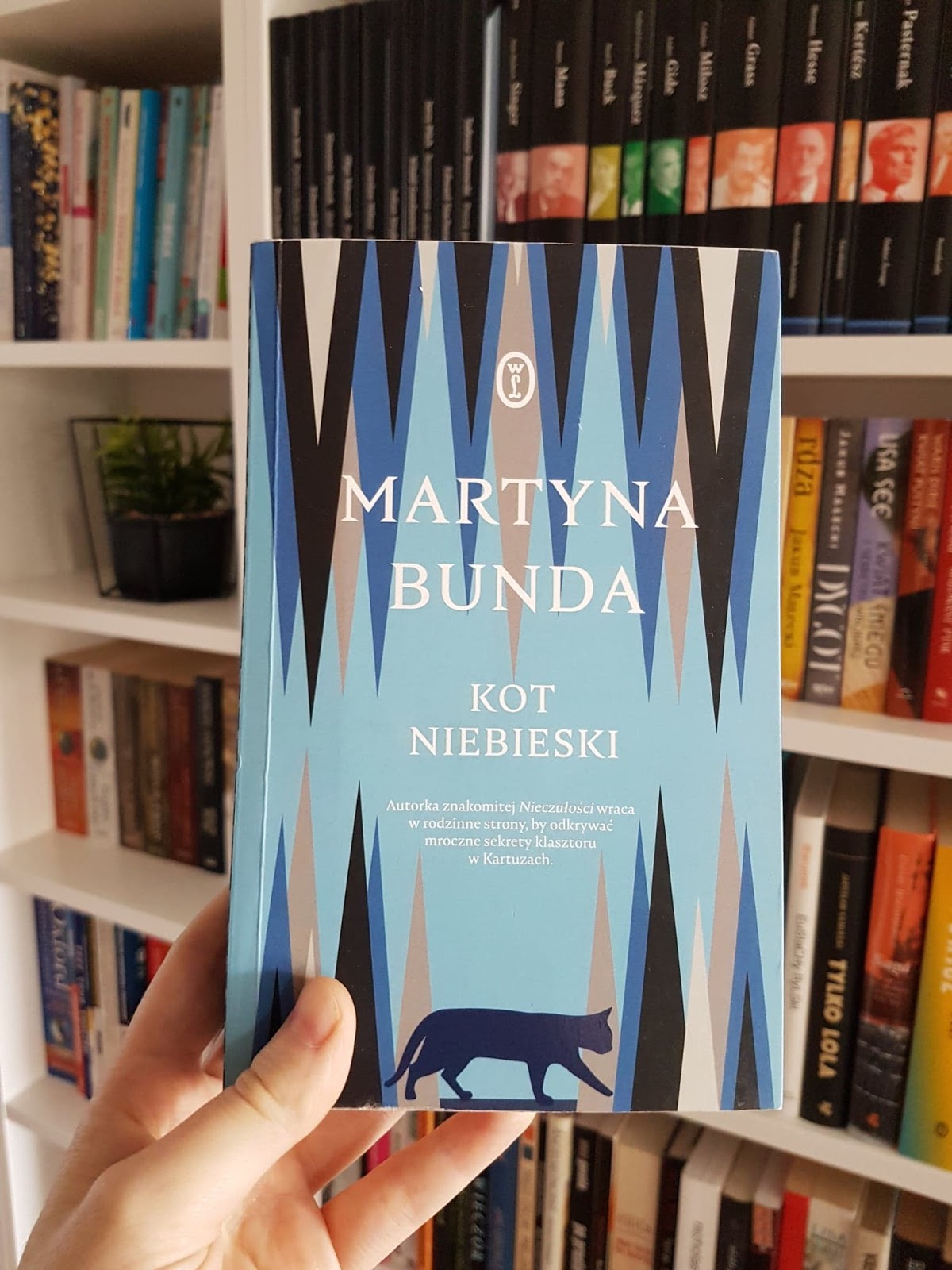 Kot Niebieski Martyna Bunda Wydawnictwo Literackie