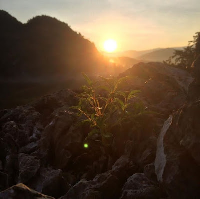 puncak-bukit-langara-loksado