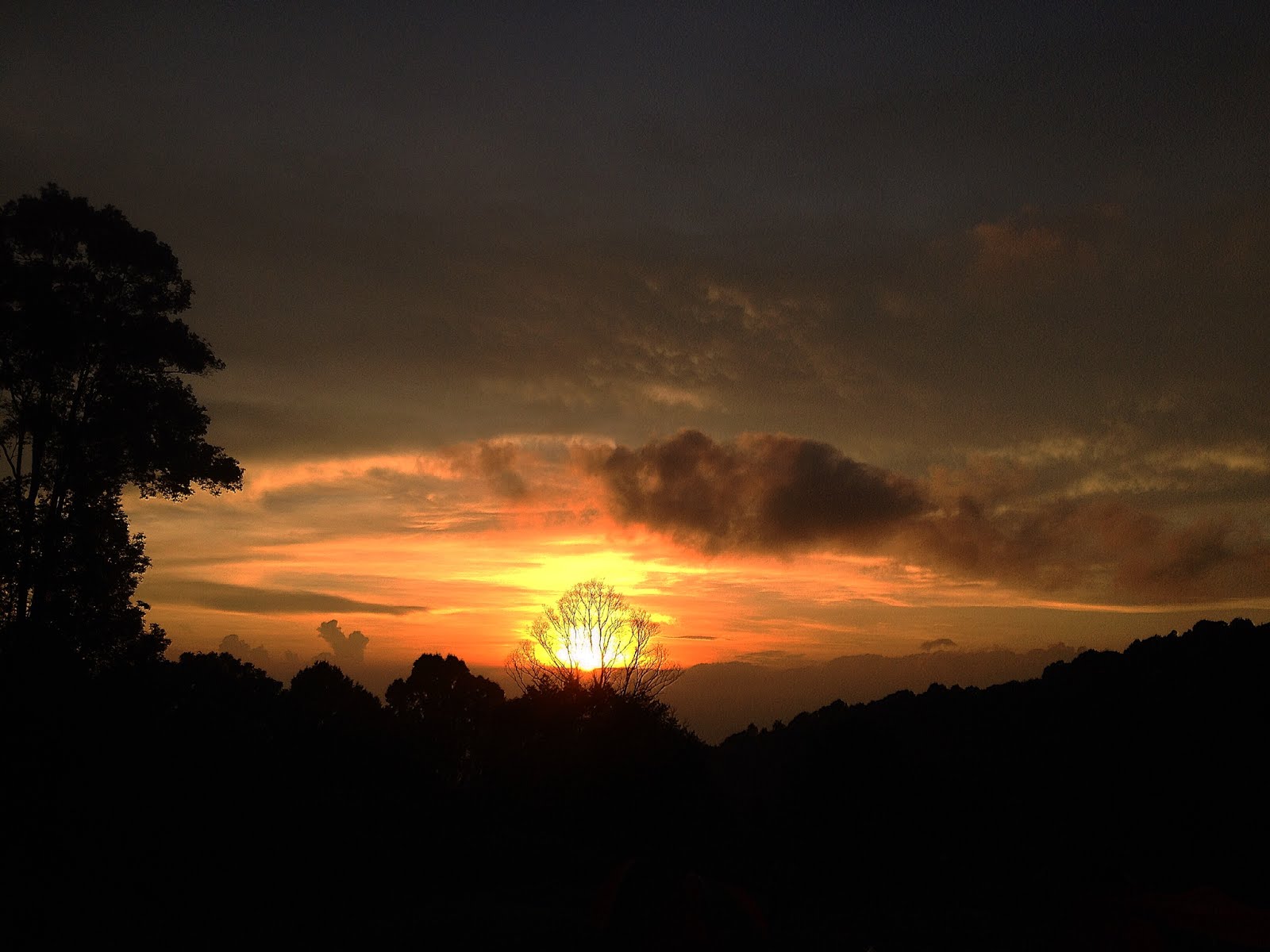 Sunrise 1200 2s