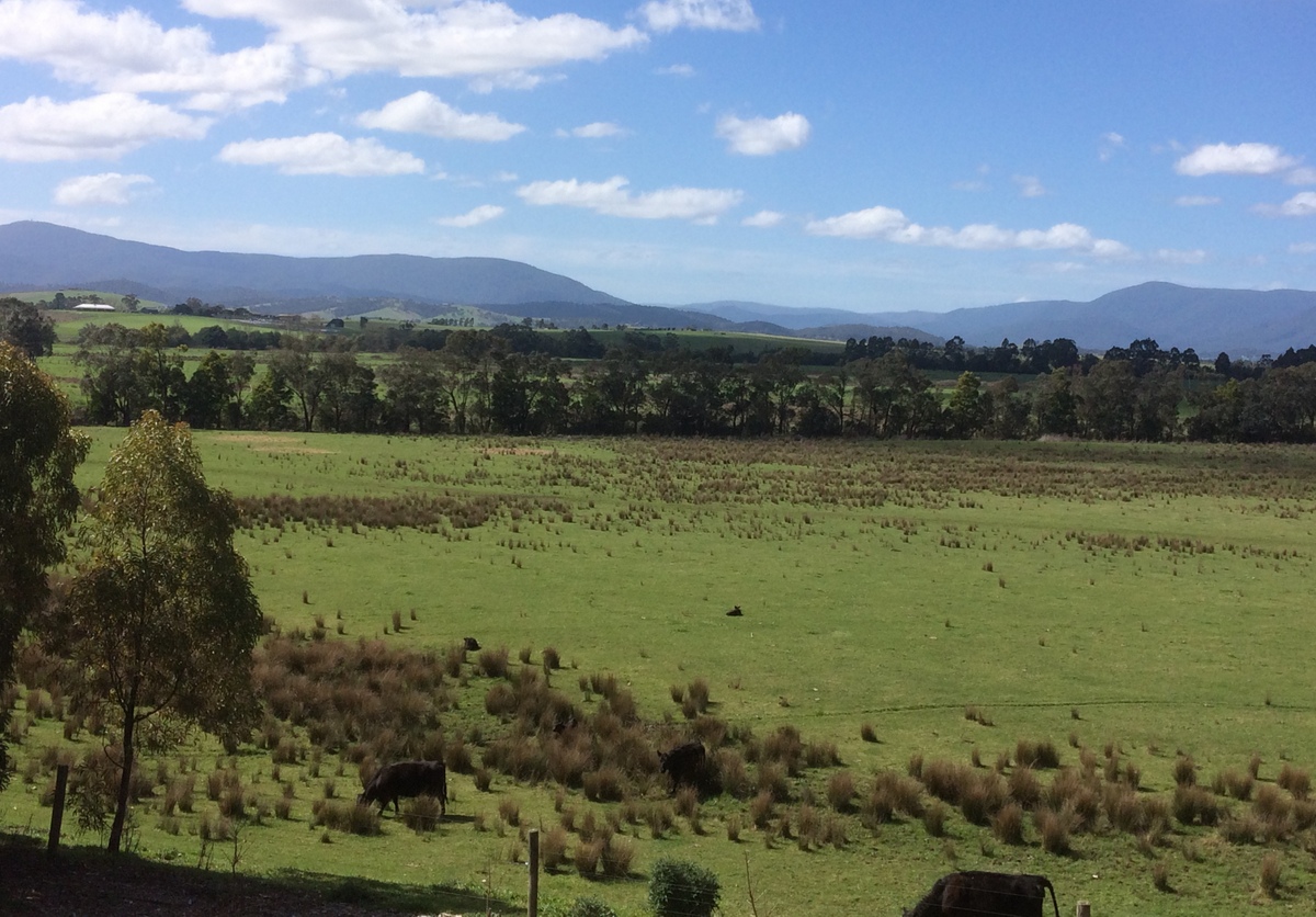 Les and Pauline's Travels Yarra Valley and Melbourne