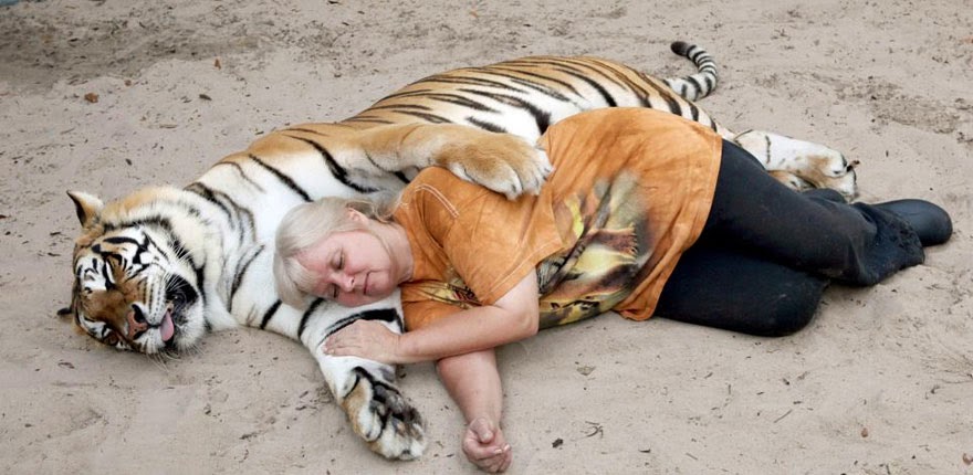 This Woman Keeps Two Pet Tigers In Her Backyard – And They’re As Loving