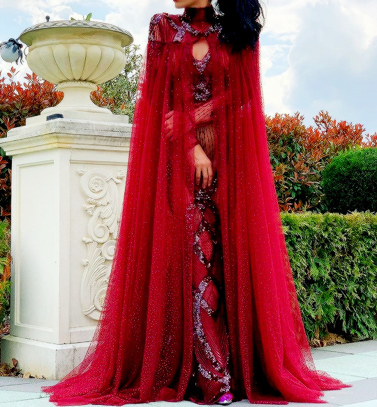 Glamorous Red Gowns