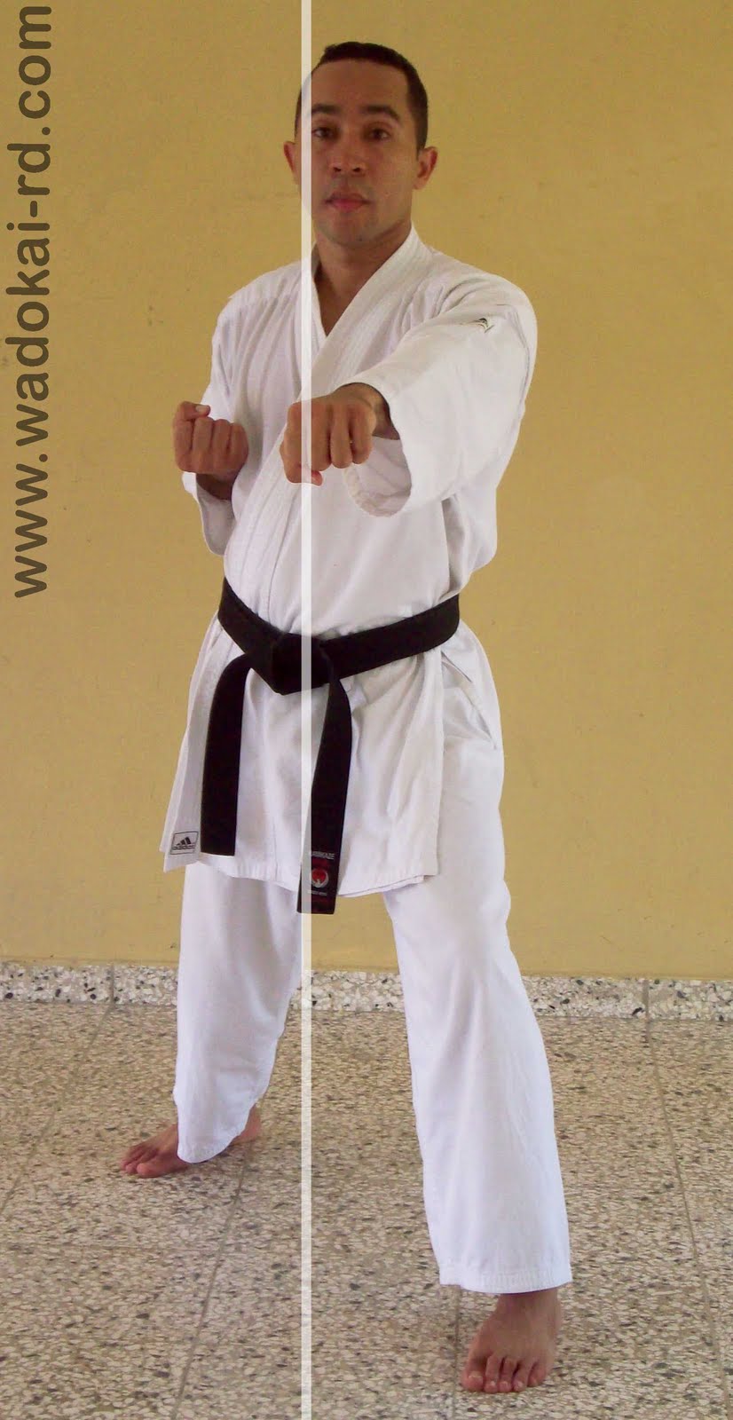 Kazoku Dojo Wadoryu: Embusen y Seichusen