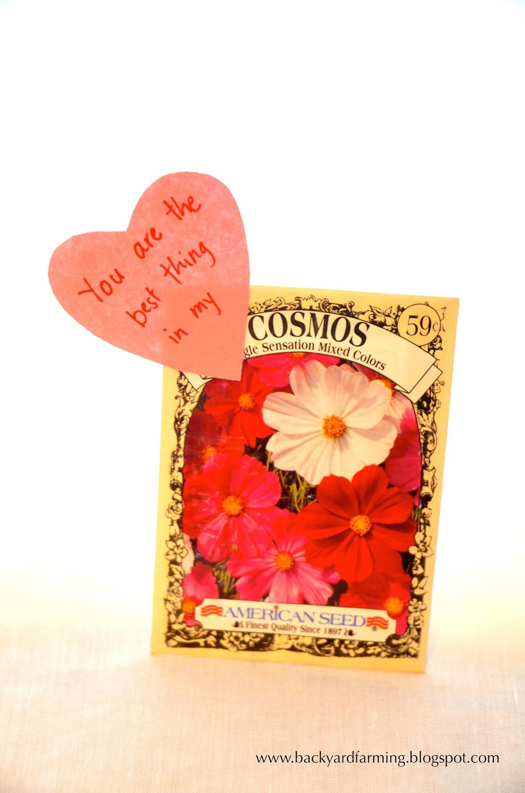 Backyard Farming: Seed packet Valentines