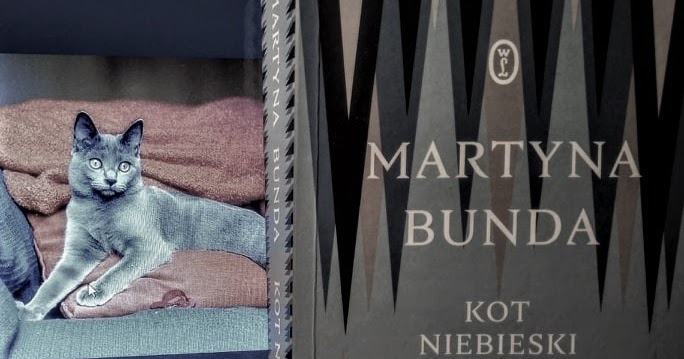Zwyczajnie I Szaro Kot Niebieski Martyna Bunda