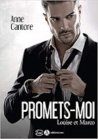 https://www.lachroniquedespassions.com/2019/01/promets-moi-d-anne-cantore.html