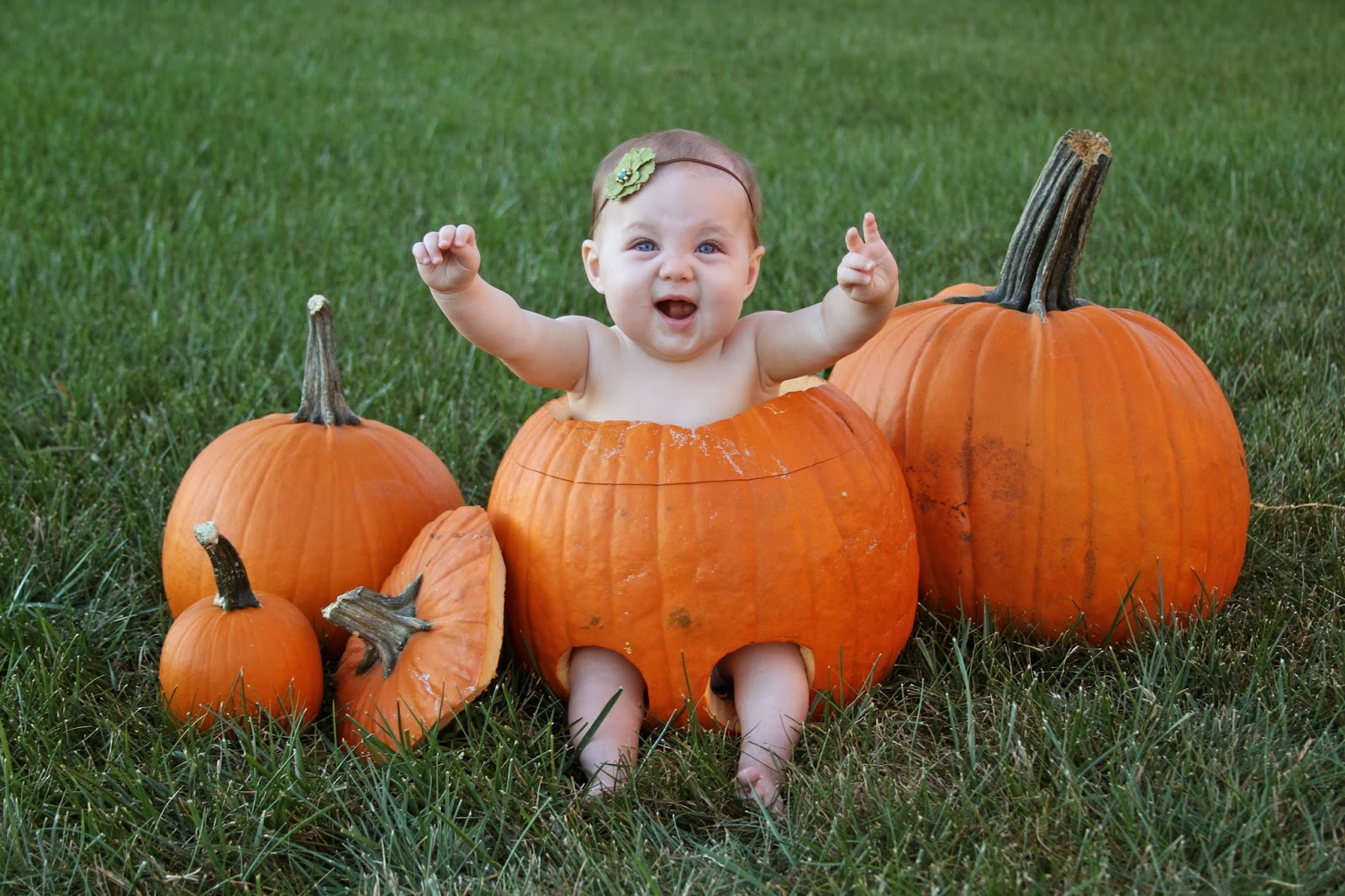 this-is-the-life-pumpkin-baby