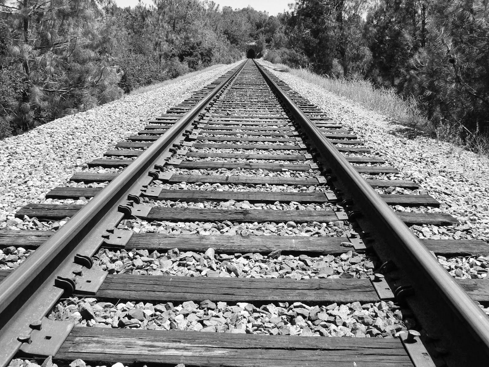Железные дороги 20 деталей. Ring Rail line фото. Angren–Pop Railway line. A Double-track Rail line. Railway Employment.