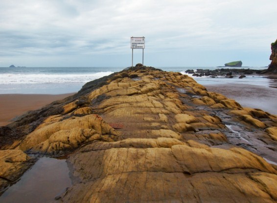 Wisata Pantai di Jember