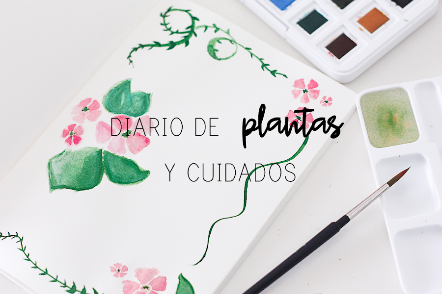 https://mediasytintas.blogspot.com/2019/09/diario-de-plantas-y-cuidados.html