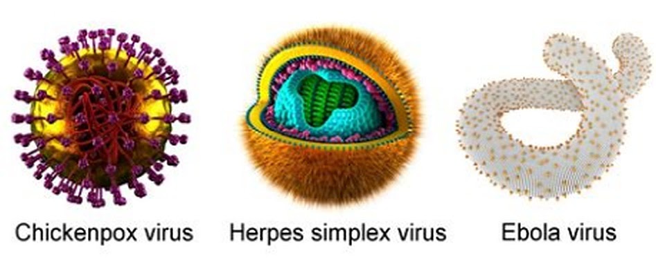 вирусы в интернете. компьютерные вирусы и антивирусные. вирус в виде рекламы. рекламный баннер в браузере. вирус нервных окончаний.