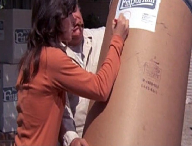 OS DETETIVES: O CASAL McMILLAN (SÉRIE INCOMPLETA - LEGENDADO/WEB-DL) 1971/1977 FormatFactoryMC3