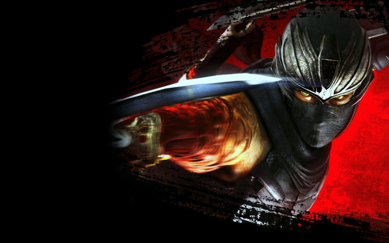 http://1.bp.blogspot.com/-a0LBYKstcVY/ULQ6jmokMfI/AAAAAAAAGdI/MYiNB1EhwGU/s1600/Ninja%20Gaiden%203%20HD%20Wallpaper.jpg