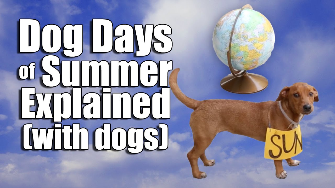 Кэп нэп и дог дэй. Dog Days of Summer. Dog Days of Summer идиома. Дог дей дог дей. Dog Days of Summer game.