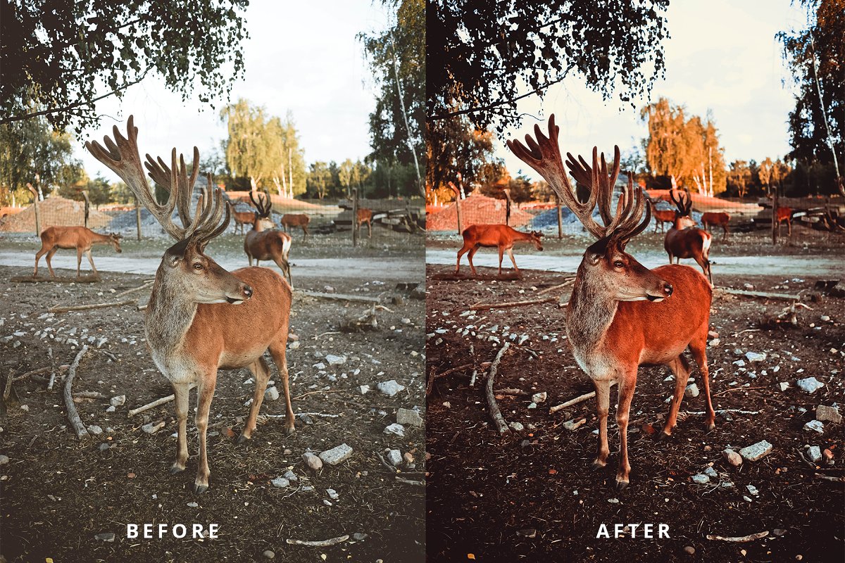 Preset Lightroom Desktop – Moody Color Lightroom Presets (LR)