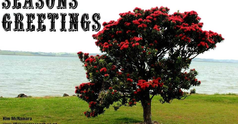 Life Success Coaching: The festive season is here..