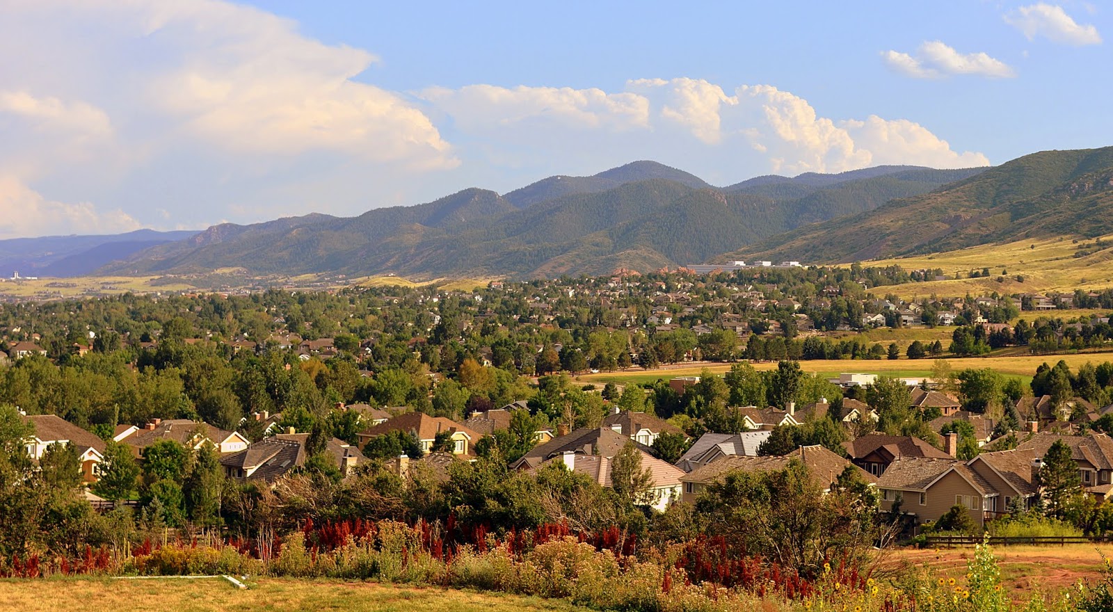 Mille Fiori Favoriti The Ken Caryl Manor House