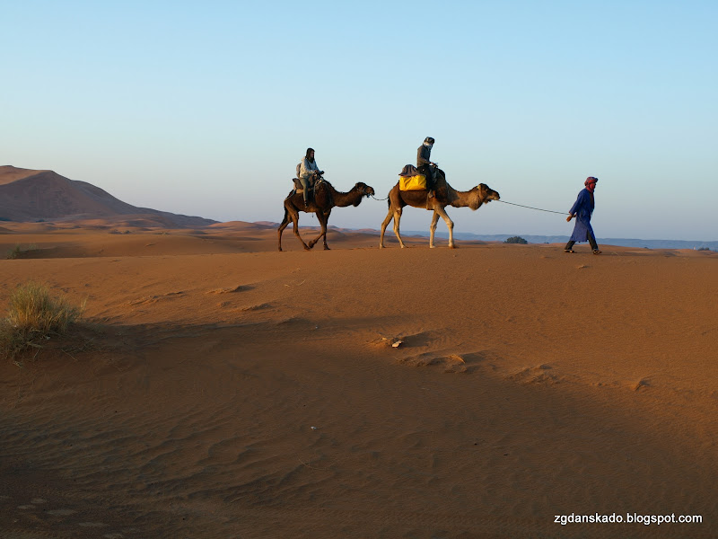 Erg Chebbi