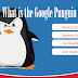 What is the Google Punguin Update ?