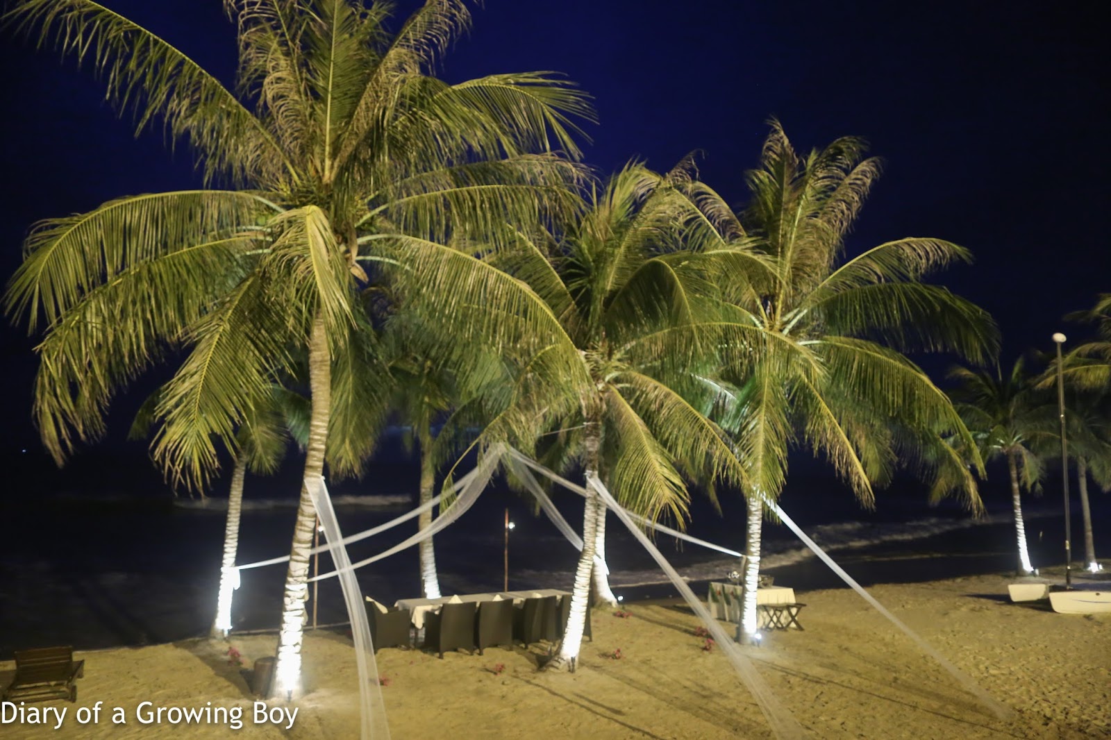 吃喝玩樂 Diary of a Growing Boy Plus 1 trip to Vietnam day 2 dinner under the stars