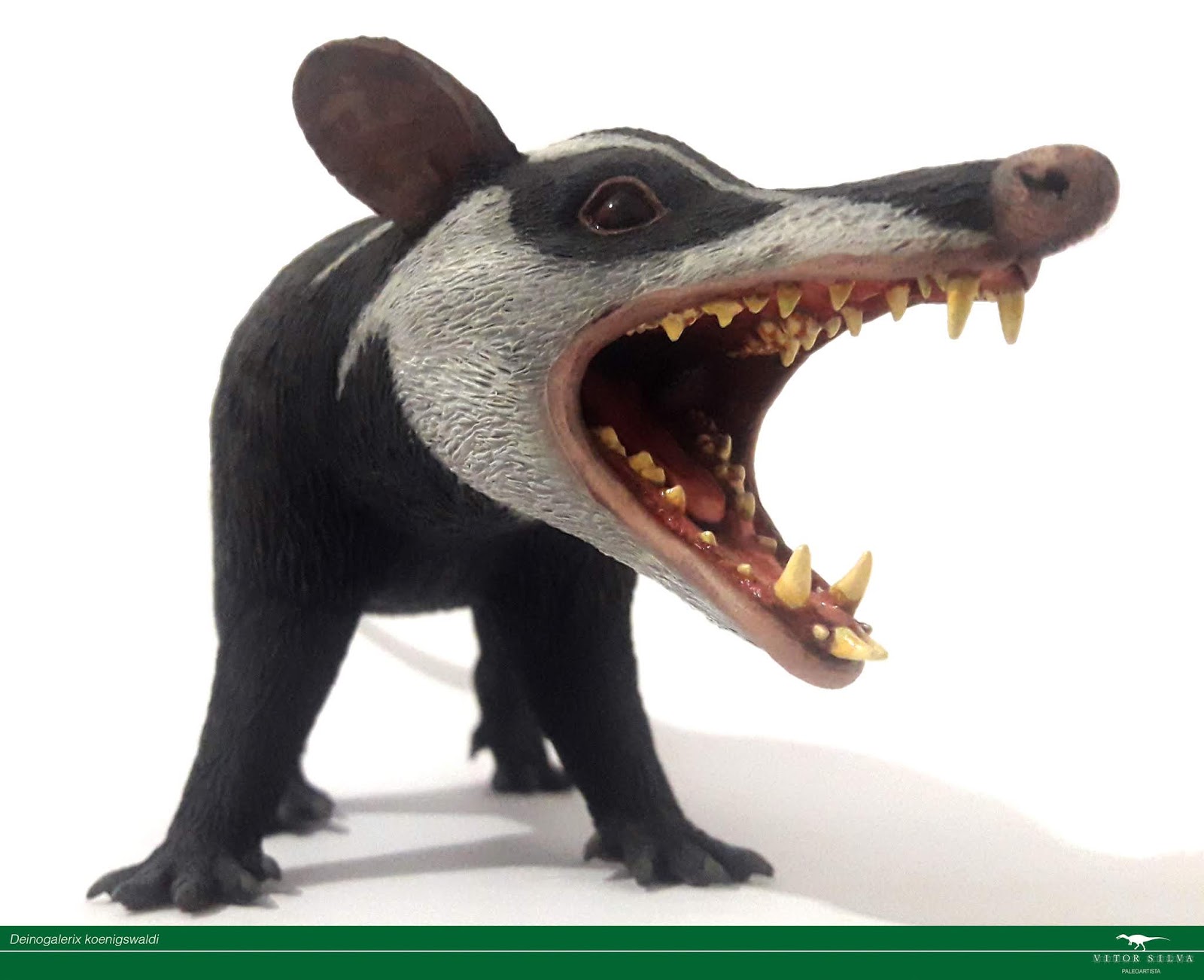 Vitor Silva Paleoartista Deinogalerix