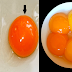 Egg Yolk Color Reveals: Find Out If Your Eggs Came From a Sick or Healthy Chicken