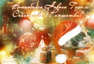 Новогодняя открытка в год крысы и мыши онлайн 2024. Бесплатные, красивые живые новогодние открытки в год мыши
