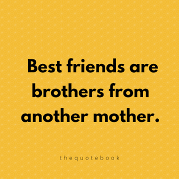 30 Beautiful Friendship Quotes - Quotebook