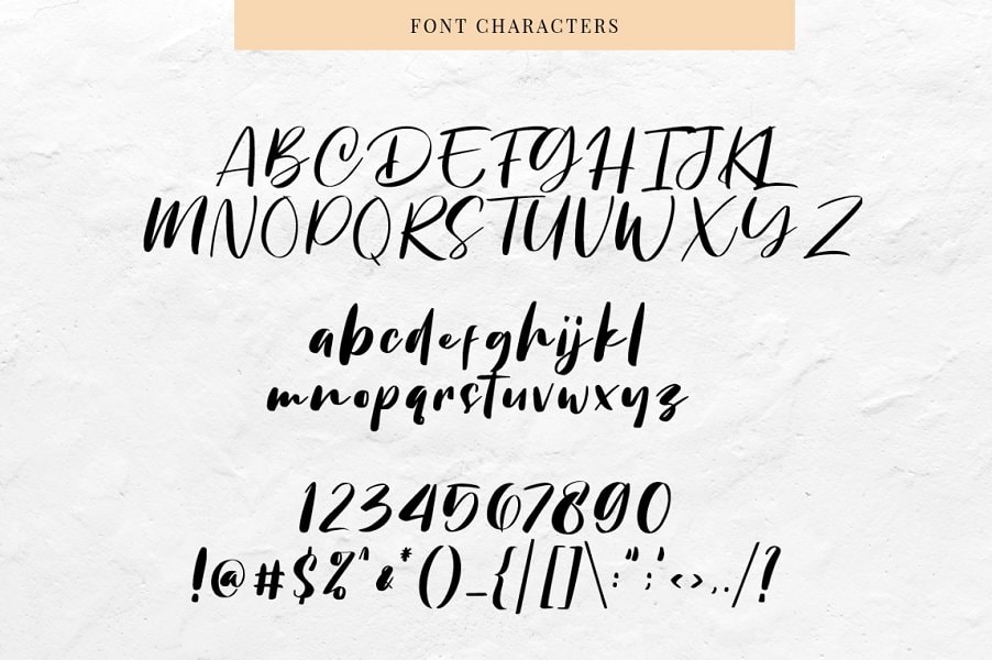 Chellyne - Modern Script Font | Free Script Fonts