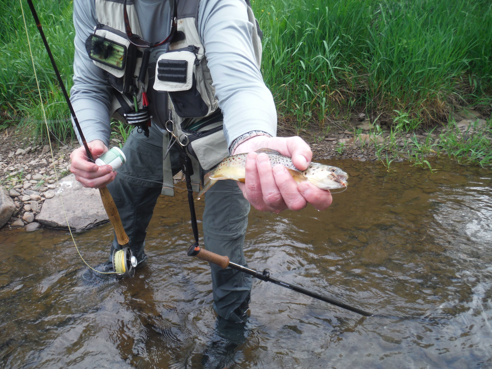 Mikey D Fishing Potter County Fishing Report First Fork of the