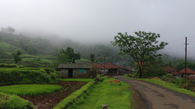 Raigad fort information