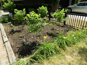 Mount Pleasant West front garden renovation after by Paul Jung Gardening Services Toronto