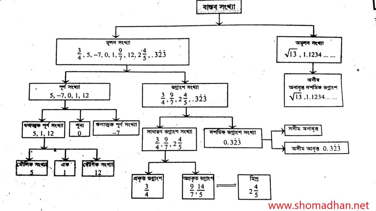 বাস্তব সংখ্যার শ্রেণিবিন্যাস