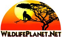 Visit Our Main Website Wildlife Planet