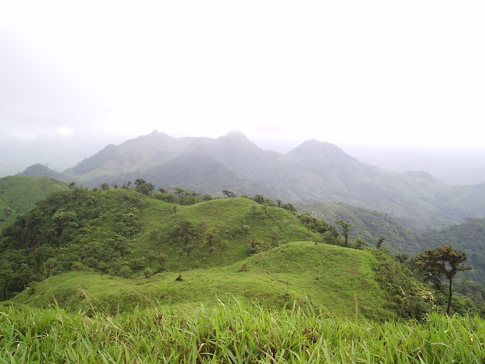 Montañismo en Panama: Cerro Congal
