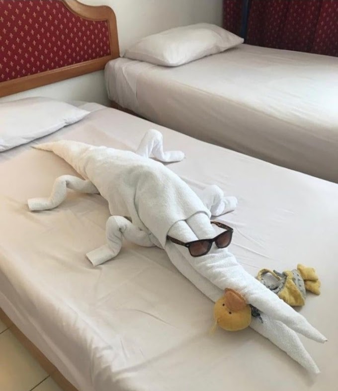 Hotel Management : Expectations vs. Reality