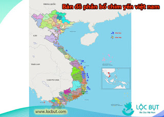 Bản đồ phân bổ chim yến tại việt nam. Bản đồ phân bổ chim yến tại việt nam.