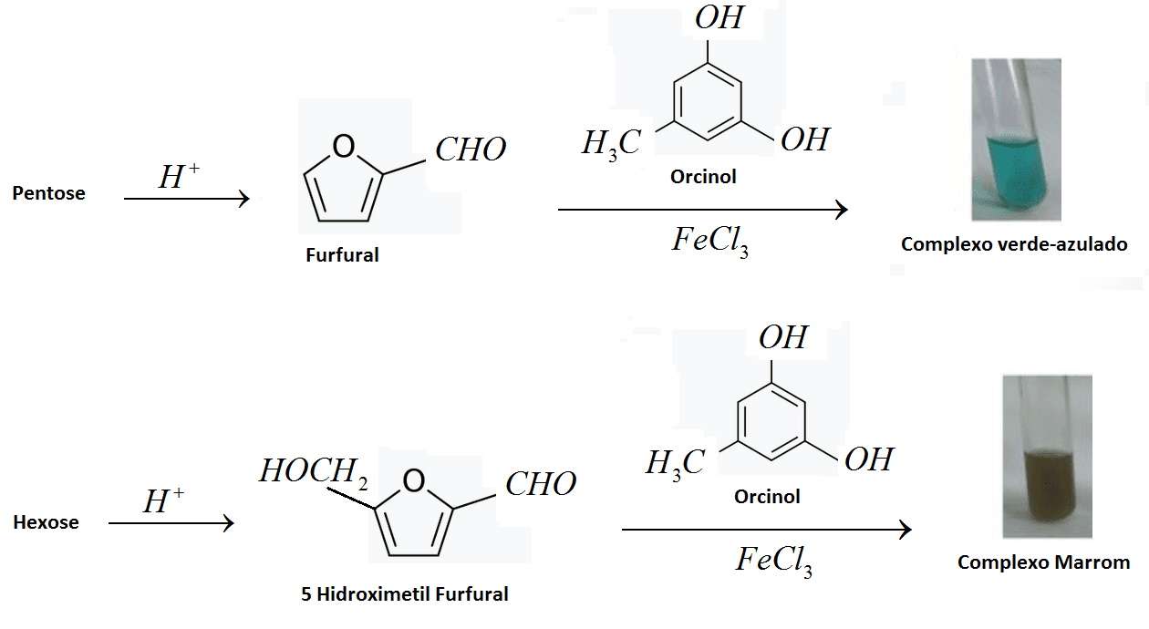Reagente de Bial Teste de identificação de Pentoses Engquimicasantossp
