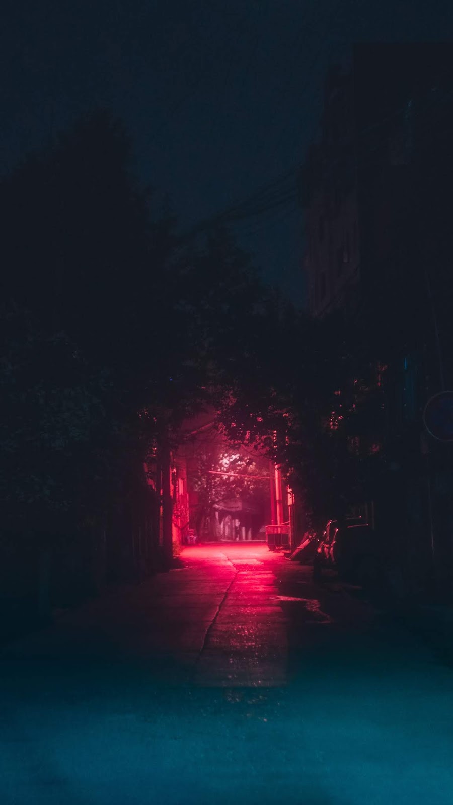 Night light Night light