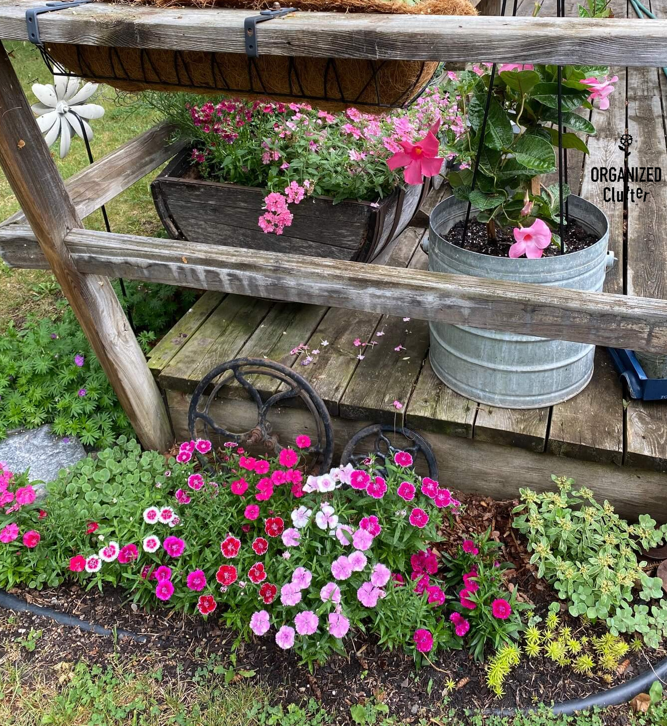 Galvanized Buckets, Annuals, Climbing Vines, And Other Junk Garden