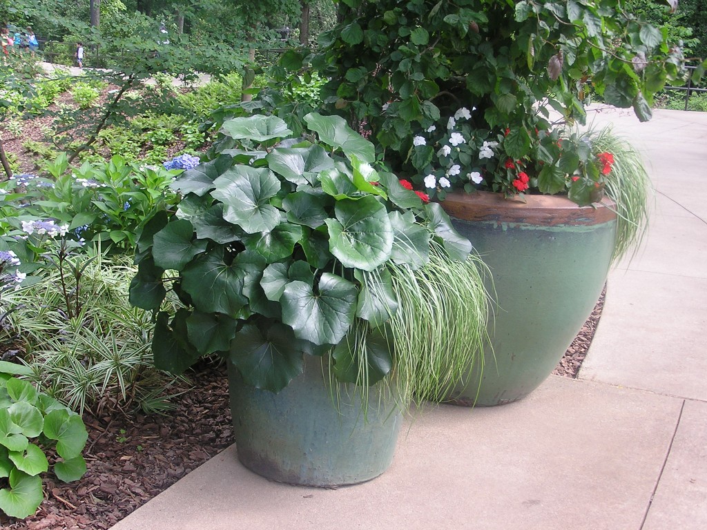 paradis express AW Pottery, Atlanta